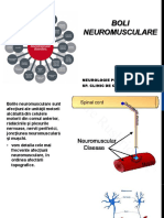 CURS NEUROMUSCULAR 2019.pdf