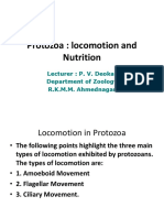 Protozoa PDF