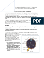 Vision and Auditory Written Report