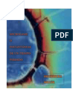 Microgame o Instantáneas de Un Tiempo Perdido