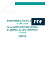 Orientaciones Ept Ciclo Vii 1 (1)