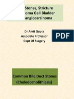 Common Bile Duct Stones Stricture