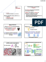 3 Protocolos Histológicos PDF
