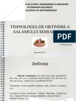 vdocuments.mx_salam-semiafumat.ppt