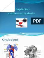 Adaptación cardiorrespiratoria.ppt