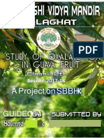 Oxalate Ions Presenant in Guava Fruit Other Stages of Ripening.