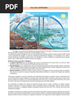 CICLO BIGEOQUÍMICOS Completo