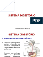 Aula 1 - Sistema Digestório
