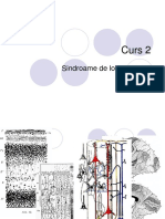 curs 4 lobii cerebrali.pdf