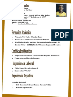 Curriculum Julio Toledo CORREGIDO