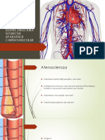 Curs IV Cardiopatia Ischemica