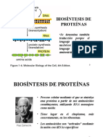 Biosintesis de Proteinas