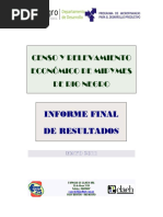 Informe Final Resultados Mipymes R Negro 05 11 PDF