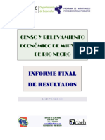 Informe Final Resultados Mipymes R Negro 05 11 PDF