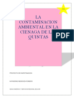 PROYECTO CONTAMINACION CIENAGA DE LA QUINTA-2.docx