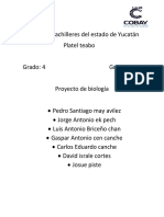 Documento 1