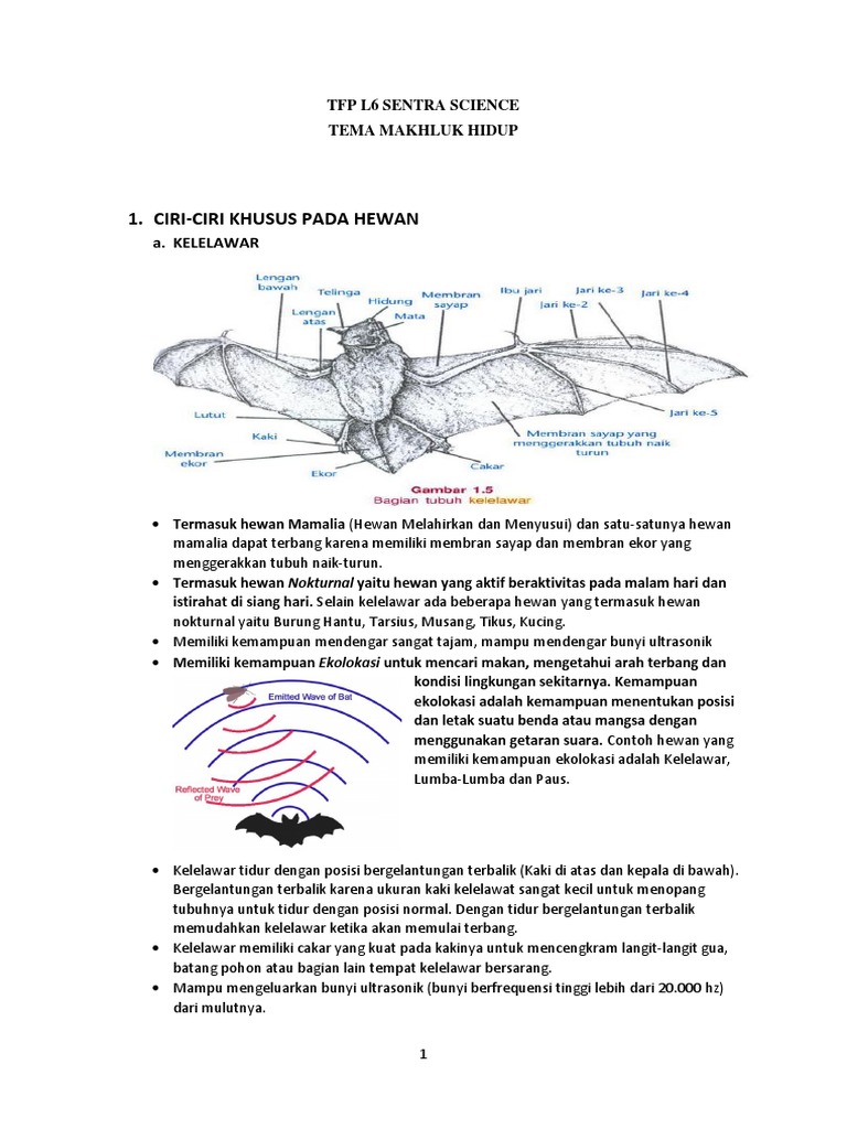 Tfp L6 Sentra Science Pdf