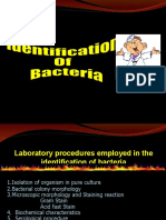 Lecture 2 Classification &amp Identification