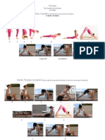 103228870-Como-usar-Vinyasa-en-la-practica.pdf