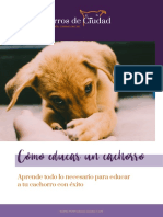 Como Educar A Un Cachorro