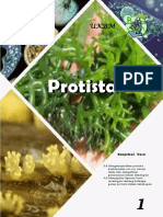 Ukbm Biologi Protista PDF