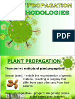 Plant-Propagation-for Tropical Plants  