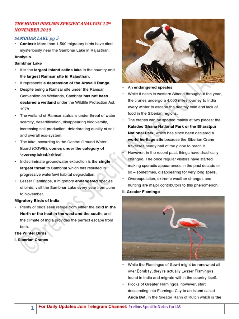 research paper on birds in india