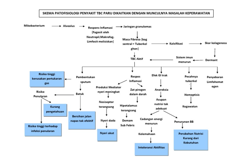 Pathway TB | PDF