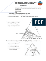 PIROMETALURGIA - 3er CONSOLIDADO