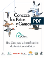 Guia-ID-Anatidos-Mexico-3raEdicion.pdf