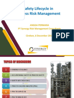 Safety Life Cycle & Process Risk Management - Synergy Dec 2019 PDF