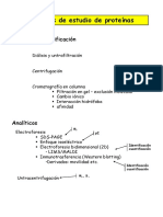 Tcnicas_proteinas.pdf