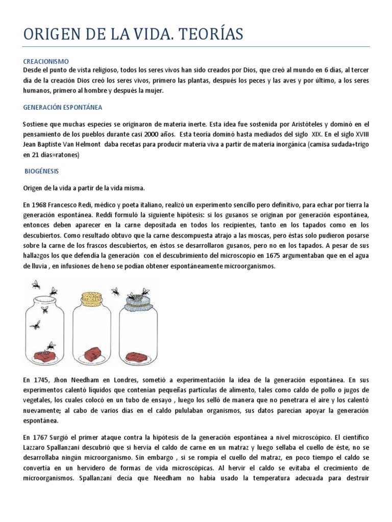 Origen de La Vida | PDF | Abiogénesis | Biología Celular)