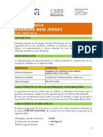 Especificaciones Técnicas New Jersey PDF