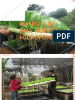 4.manejo de Una Huerta Hidroponica