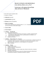 Lineamientos de Tesis PDF