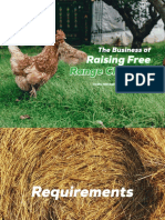 The Business of Raising Free Range Chicken