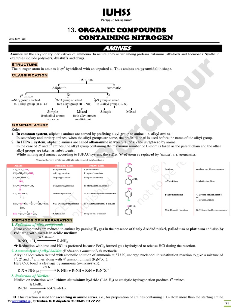 Class 12 Notes on Amines | PDF | Amine | Hydrogen Compounds