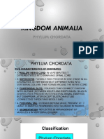 3.Phylum Chordata (1)