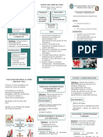 Triptico Plan Bicentenario