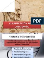 clasificacindelaanatoma-121129222512-phpapp01