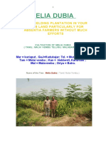 Cultivation of Melia Dubia1 PDF