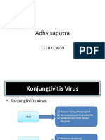 Konjungtivitis Virus dan Imunologik