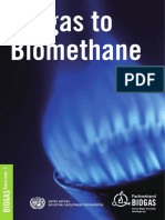 Biogas to Biometane.pdf