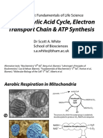 BMedSci TCA ETC ATP SAWhite Oct2018 PDF