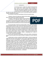 Capitulo 1 PDF