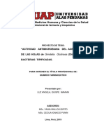 Proyecto Grindelia Glutinosa PDF