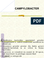 GENUL CAMPYLOBACTER (2)