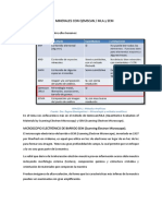 Caracterización de Minerales Con Qemscan