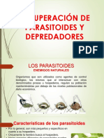 Recuperacion de Paracitoydes